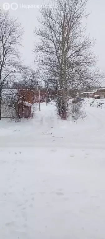 1-комнатная квартира: посёлок Семёнково, Первомайская улица, 14 (33.1 ... - Фото 1