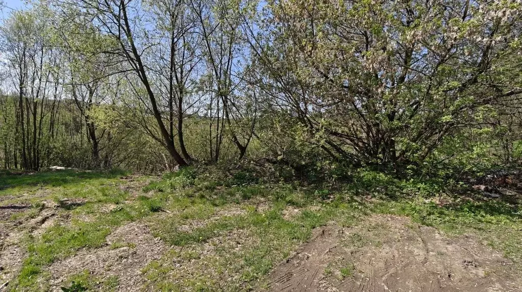 Участок в Московская область, Ленинский городской округ, Боброво пгт  ... - Фото 1