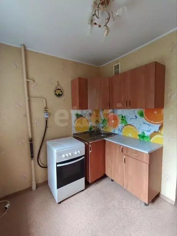 1-к кв. Пермский край, Пермь ул. 1-я Красноармейская, 43 (32.1 м) - Фото 1