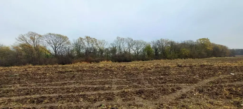 Участок в Краснодарский край, Северская ст-ца  (68.78 сот.) - Фото 1