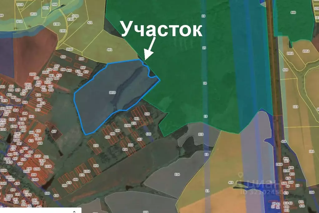 Участок в Тульская область, Заокский район, Демидовское с/пос, с. ... - Фото 1