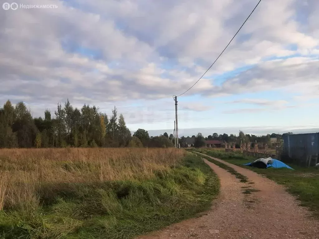 Участок в Палкинский район, Новоуситовская волость, деревня ... - Фото 1