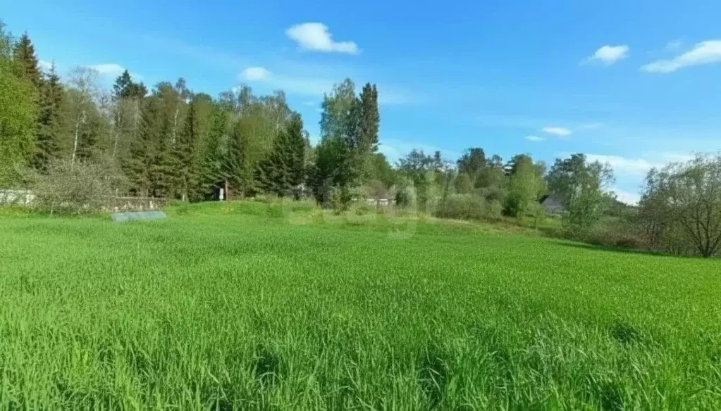 Участок в Ленинградская область, Приозерский район, Сосновское с/пос, ... - Фото 1