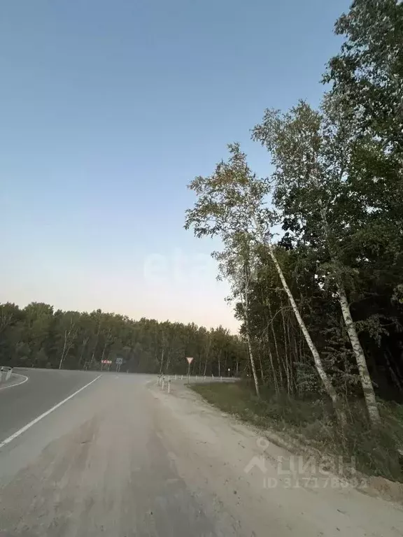 Участок в Амурская область, Благовещенск Игнатьевское ш. (8.0 сот.) - Фото 0