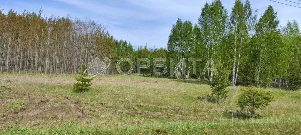 Участок в Тюменская область, Нижнетавдинский район, с. Тюнево  (7.0 ... - Фото 0