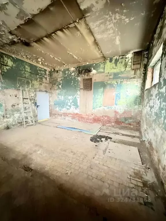 Производственное помещение в Санкт-Петербург Грузовой проезд, 13к5 (32 ... - Фото 2