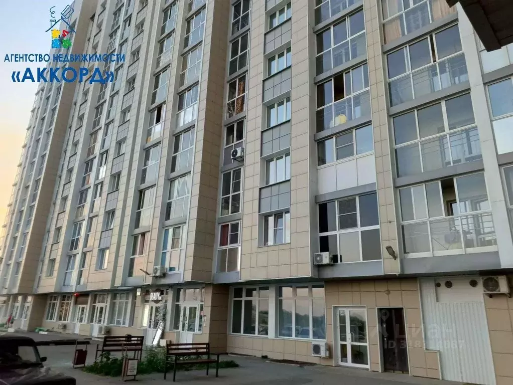 1-к кв. Алтайский край, Новоалтайск Прудская ул., 40 (34.3 м) - Фото 2