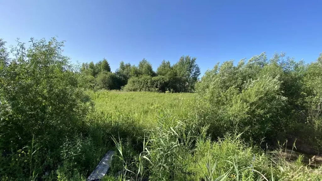 Участок в Томская область, Томский район, с. Корнилово, Зеленая ... - Фото 0