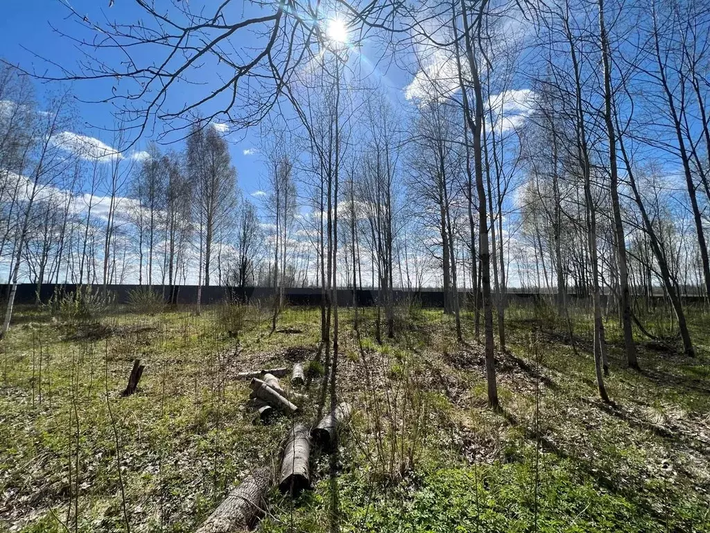 Участок 10 сот. (СНТ, ДНП) - Фото 1