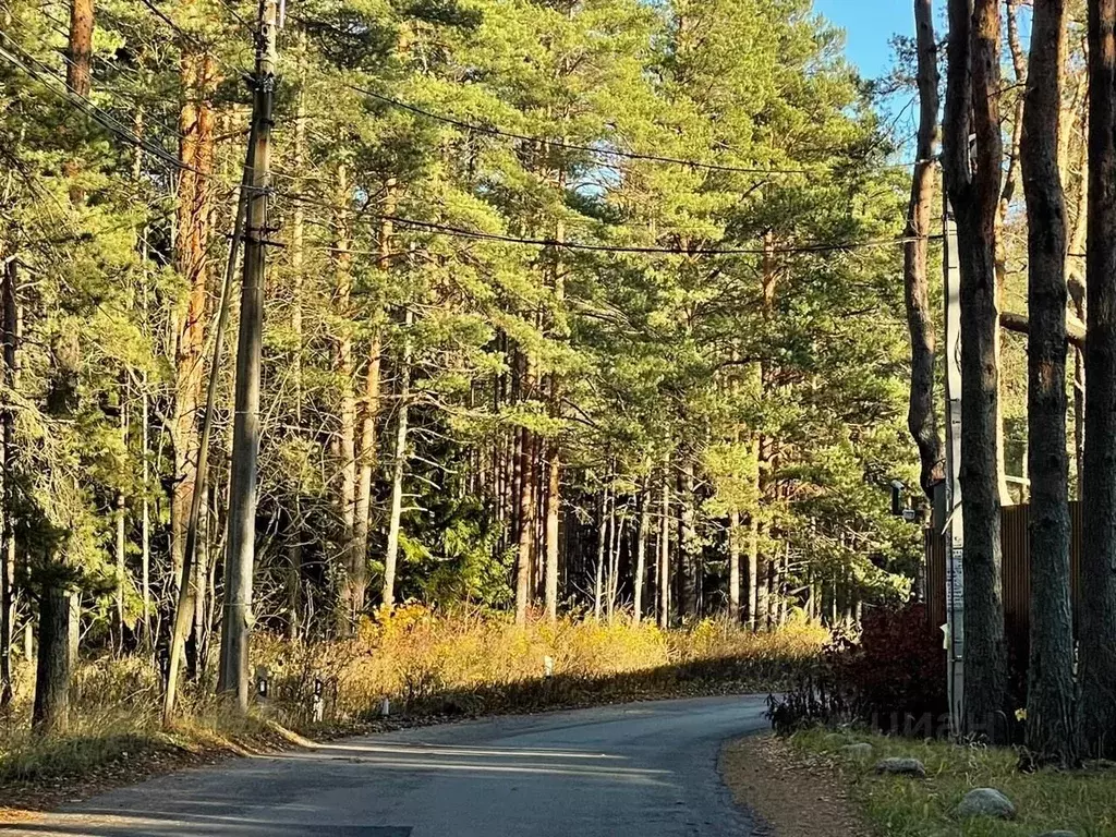 Участок в Санкт-Петербург пос. Солнечное,  (2.0 сот.) - Фото 2