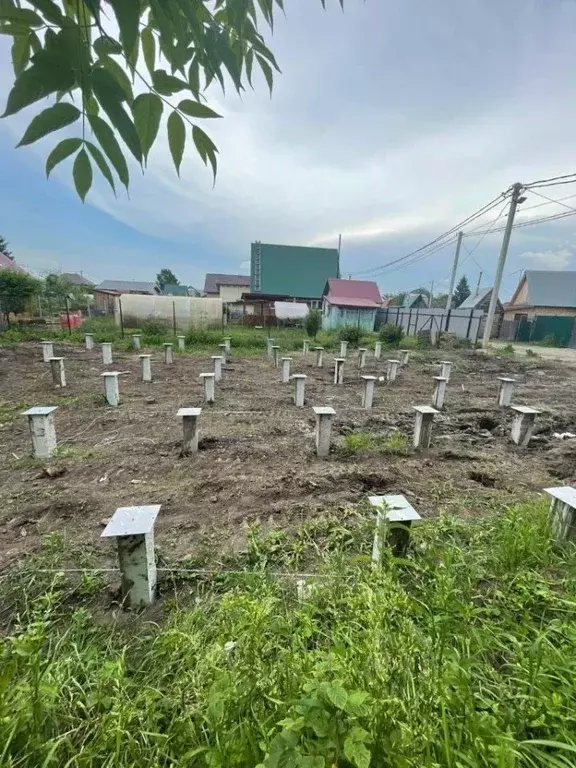 Участок в Новосибирская область, Новосибирск Радуга садовое ... - Фото 2