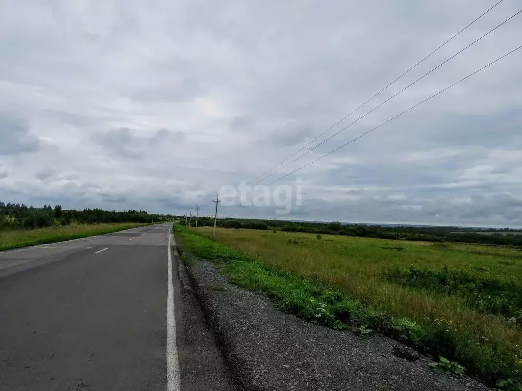 Участок в Кемеровская область, Кемеровский район, д. Осиновка  (1308.0 ... - Фото 1