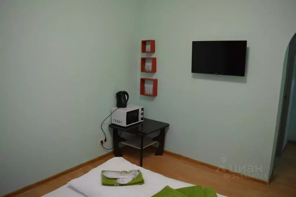 Комната Московская область, Балашиха Трубецкая ул., 1а (25.0 м) - Фото 2