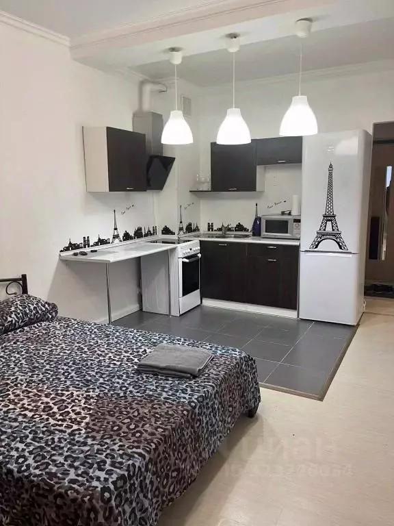 1-к кв. Новосибирская область, Новосибирск ул. Крылова, 26 (28.0 м) - Фото 2