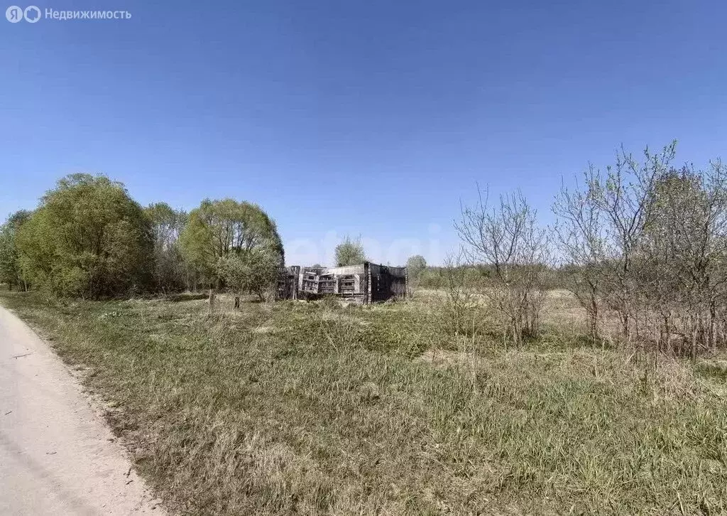 Участок в Брянский район, село Журиничи (20 м) - Фото 2