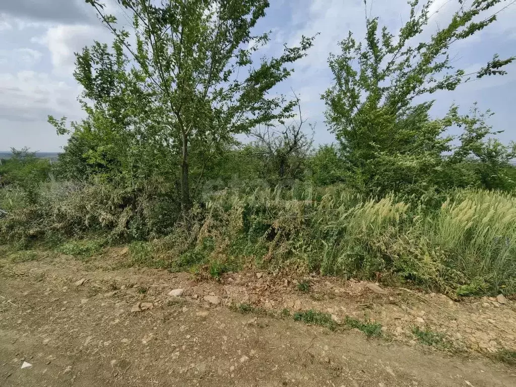 Участок в Ростовская область, Родионово-Несветайский район, ... - Фото 1