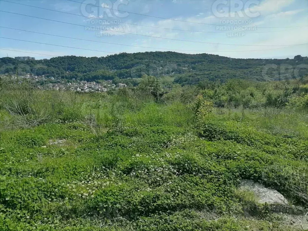 Участок в Краснодарский край, Сочи городской округ, Дагомыс пгт ш. ... - Фото 1