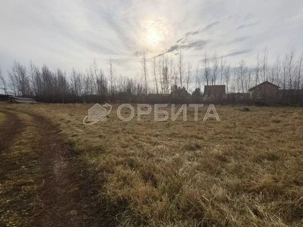 Участок в Тюменская область, Тюменский муниципальный округ, с. Борки  ... - Фото 2