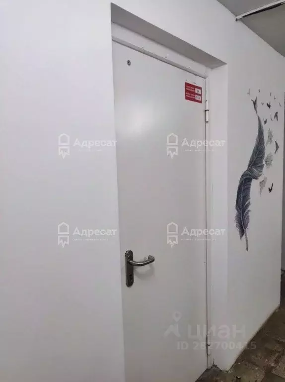 Офис в Волгоградская область, Волгоград Жилгородок мкр, ул. Маршала ... - Фото 1