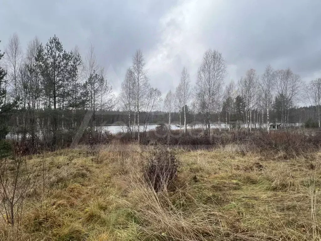 Участок в Ленинградская область, Выборгский район, Каменногорское ... - Фото 2