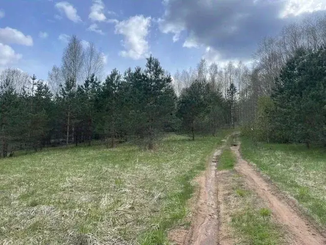 Участок в Новгородская область, Крестецкий муниципальный округ, д. ... - Фото 0