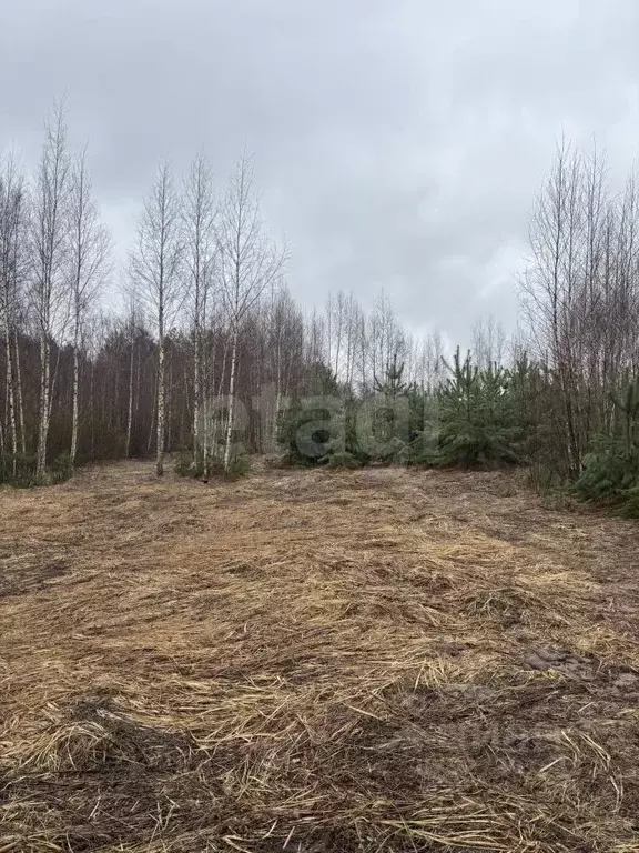 Участок в Владимирская область, Ковров  (10.54 сот.) - Фото 1