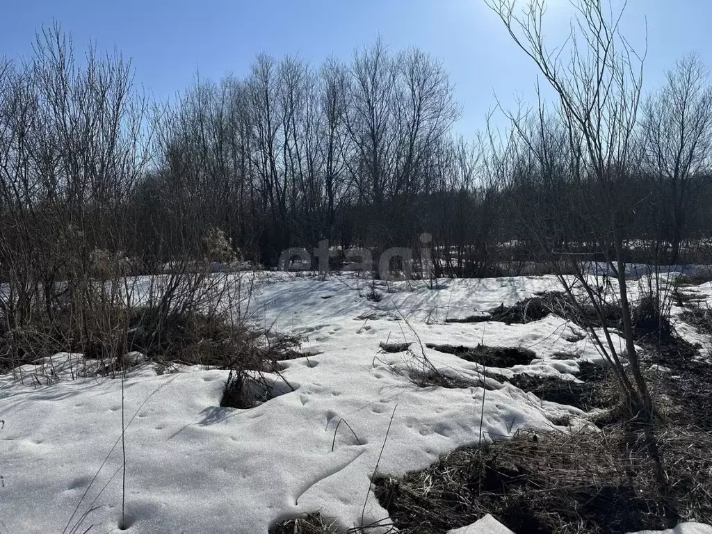Участок в Ярославская область, Ярославль ул. 7-я Забелицкая (6.0 сот.) - Фото 2
