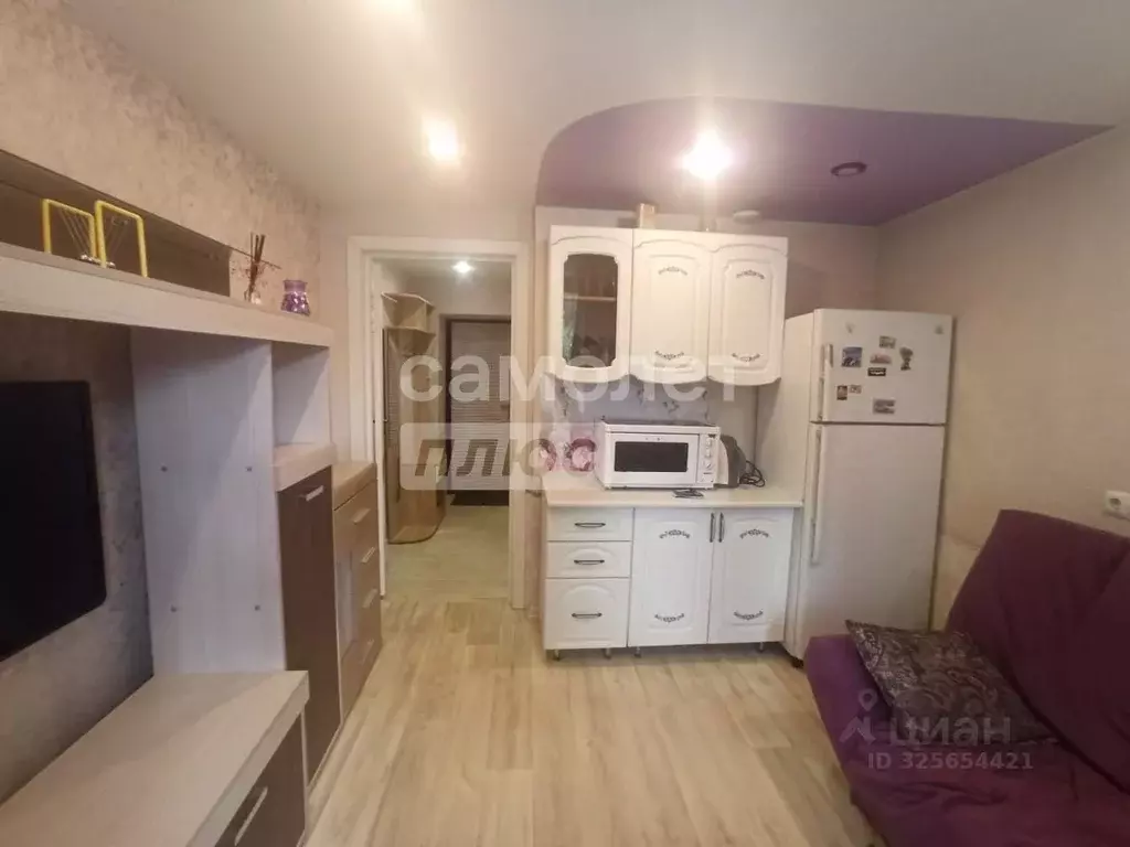 1-к кв. Сахалинская область, Южно-Сахалинск Курильская ул., 18 (17.2 ... - Фото 1