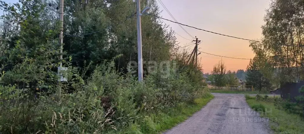 участок в ярославская область, некрасовское рп ул. молодежная (12.0 . - Фото 1