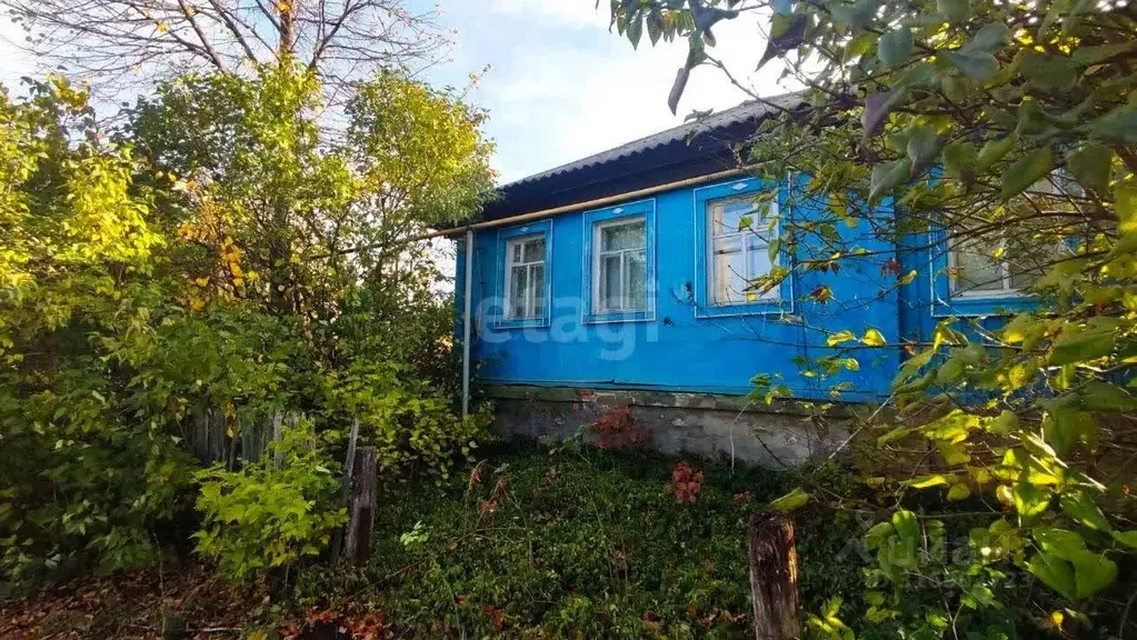 Дом в Белгородская область, Новооскольский муниципальный округ, с. ... - Фото 0