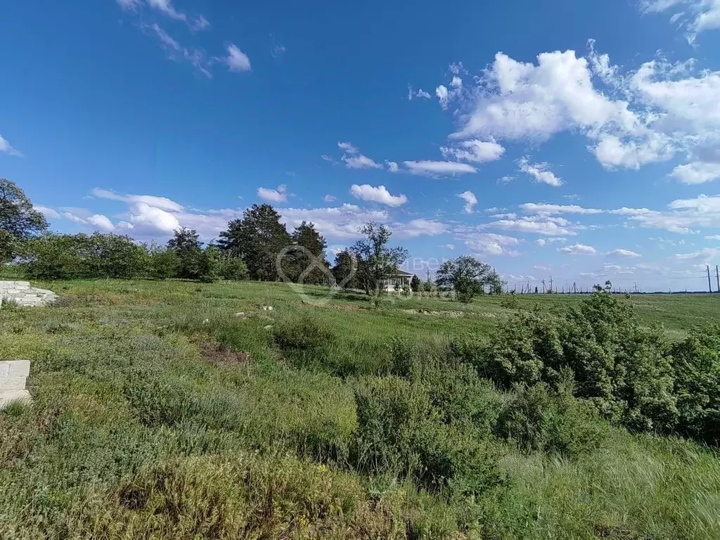 Участок в Волгоградская область, Городищенский район, Царицынское ... - Фото 0