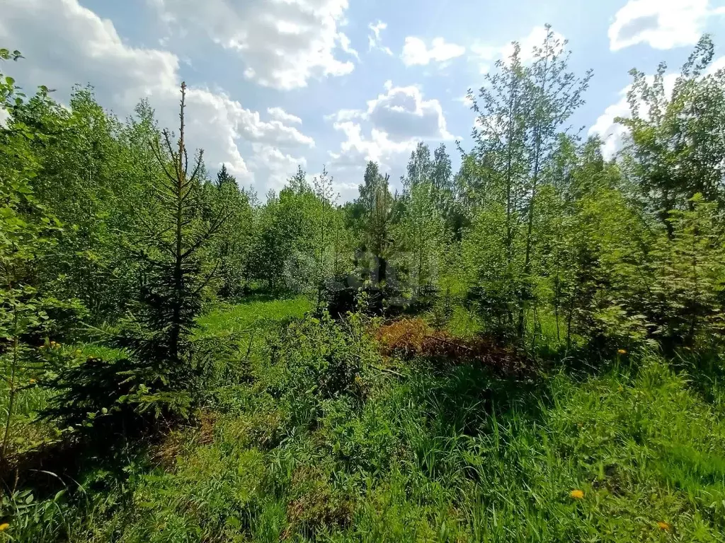 Участок в Московская область, Сергиево-Посадский городской округ, ... - Фото 1