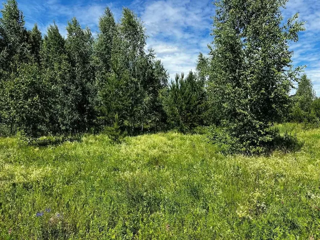 Участок в Тюменская область, Нижнетавдинский район, пос. Торгили  ... - Фото 1