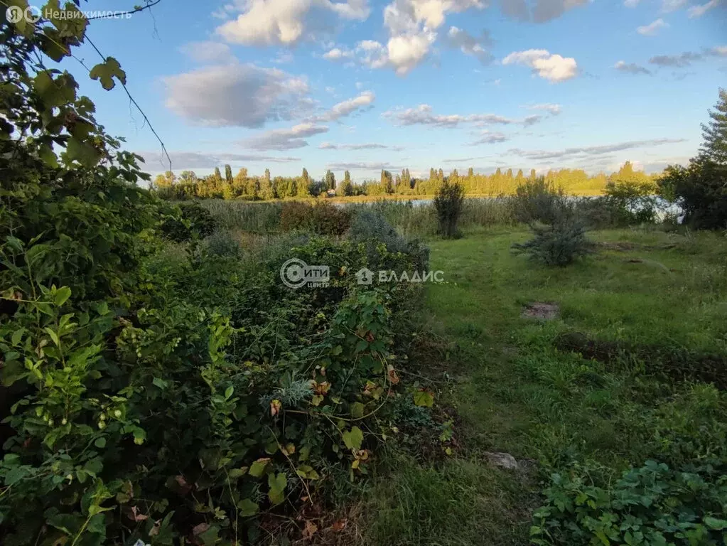 Участок в Стрелицкое городское поселение, СНТ Жемчужина, Западная ... - Фото 0