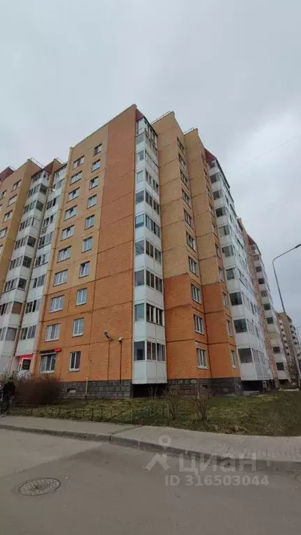 1-к кв. Ленинградская область, Всеволожск Южный мкр, ул. Невская, 1/2 ... - Фото 0