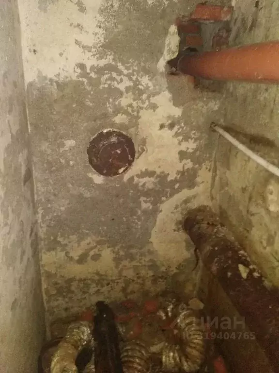 Помещение свободного назначения в Краснодарский край, Краснодар ... - Фото 1