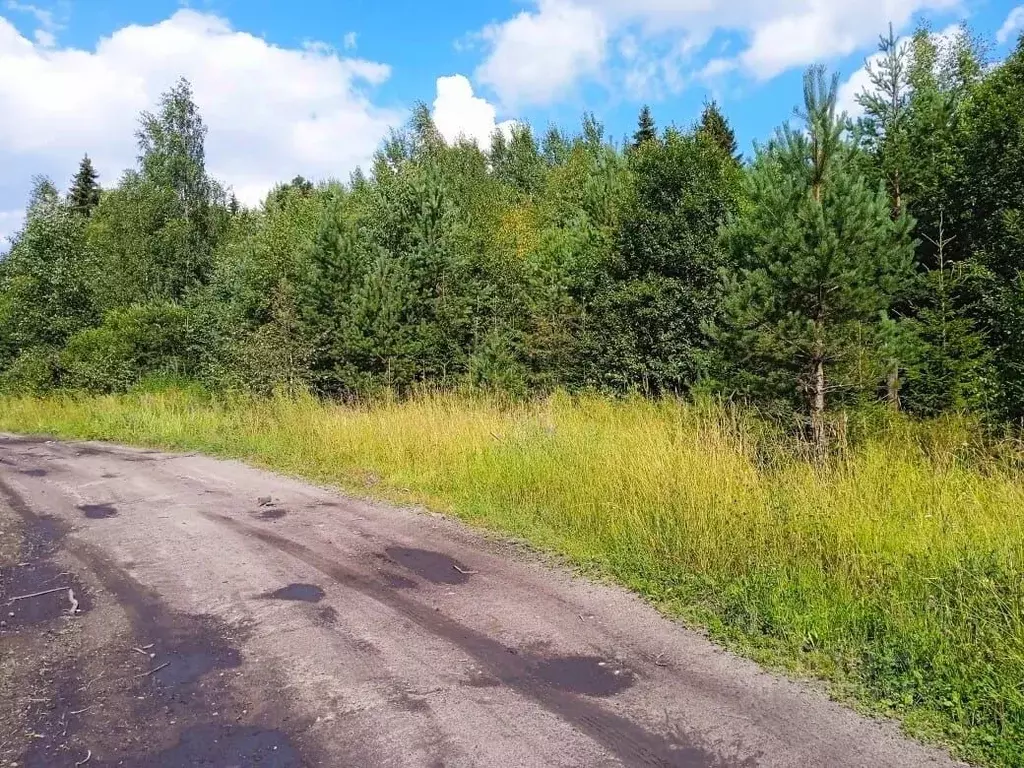 Участок в Карелия, Лахденпохский муниципальный округ, пос. Сикопохья  ... - Фото 2