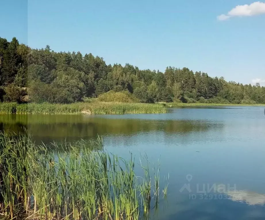 Участок в Ленинградская область, Лужский район, Заклинское с/пос, д. ... - Фото 2