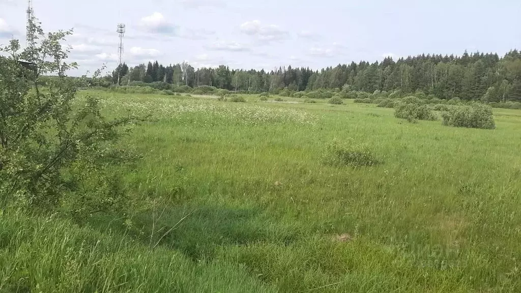 Участок в Московская область, Наро-Фоминский городской округ, д. ... - Фото 2