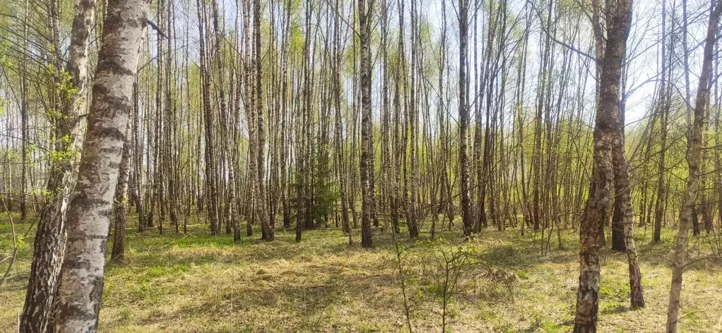 Участок в Тульская область, Заокский район, Страховское с/пос, д. ... - Фото 2