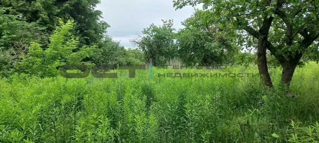 Дом в Тульская область, Тула городской округ, с. Маслово 96 (46 м) - Фото 0