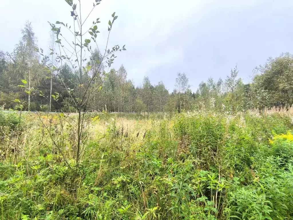 Участок в Ленинградская область, Гатчинский муниципальный округ, ... - Фото 1