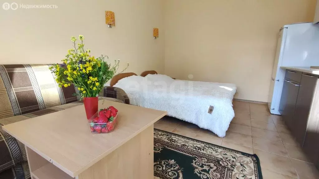 Квартира-студия: Саки, Приморская улица, 4 (20 м) - Фото 2