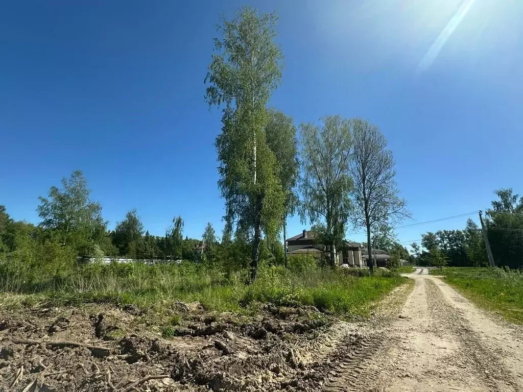 Участок в Владимирская область, Суздальский район, Павловское ... - Фото 1