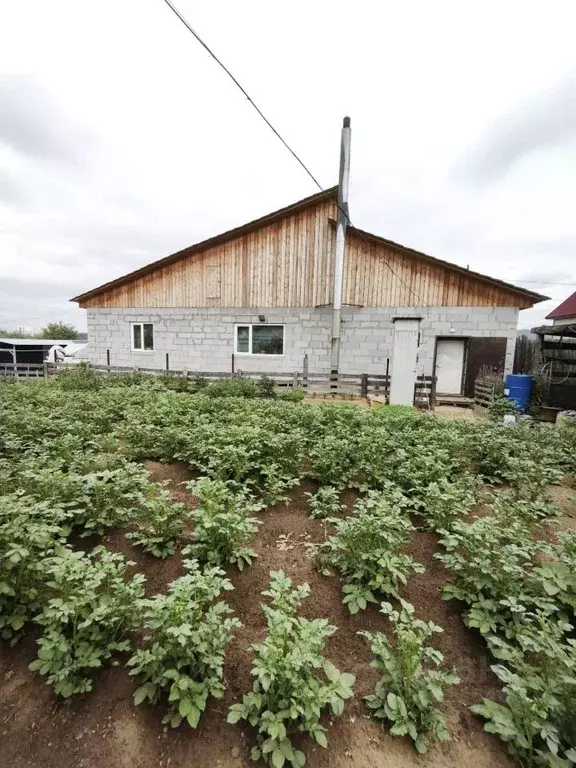 Коттедж в Бурятия, Улан-Удэ пос. Светлый, ул. Лазурная (145 м) - Фото 1