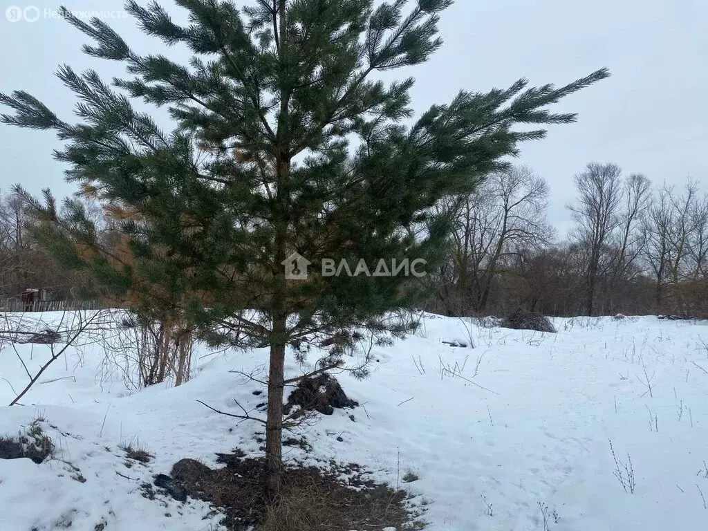 Участок в село Бессоновка, улица Карьер (15 м) - Фото 0