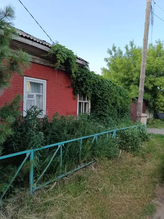 Дом в Омская область, Омск пос. Амурский, ул. Сурикова (114 м) - Фото 1