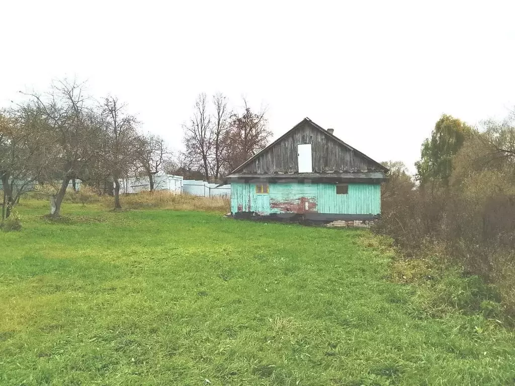 Участок в Калужская область, Дзержинский муниципальный округ, сельское ... - Фото 1