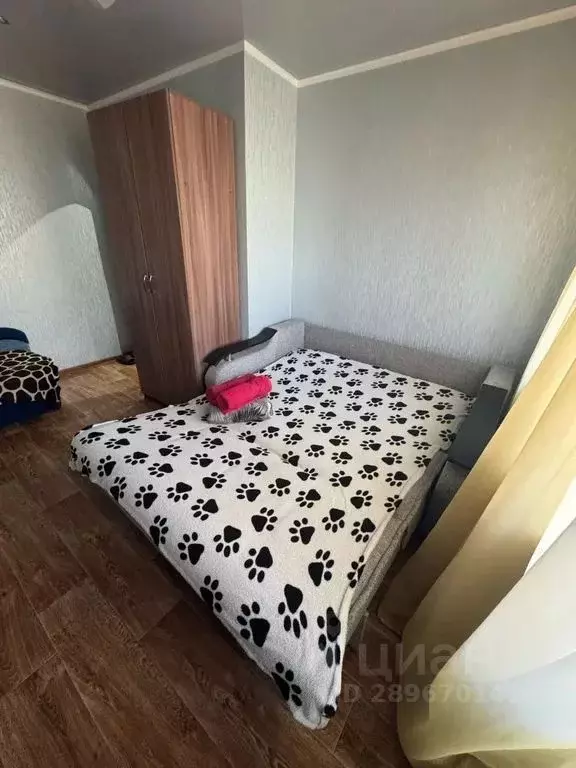 1-к кв. Челябинская область, Магнитогорск просп. Карла Маркса, 99/1 ... - Фото 2