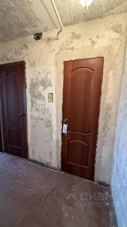 2-к кв. Самарская область, Тольятти Ярославская ул., 13 (54.4 м) - Фото 2